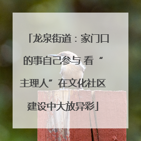 龙泉街道：家门口的事自己参与 看“主理人”在文化社区建设中大放异彩