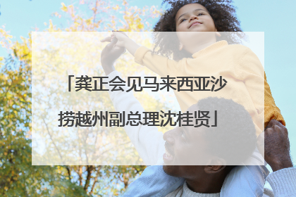 龚正会见马来西亚沙捞越州副总理沈桂贤