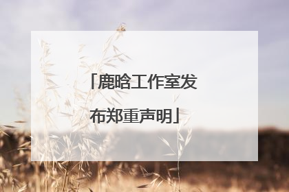 鹿晗工作室发布郑重声明