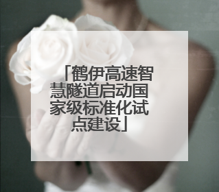 鹤伊高速智慧隧道启动国家级标准化试点建设