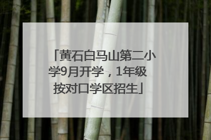 黄石白马山第二小学9月开学，1年级按对口学区招生