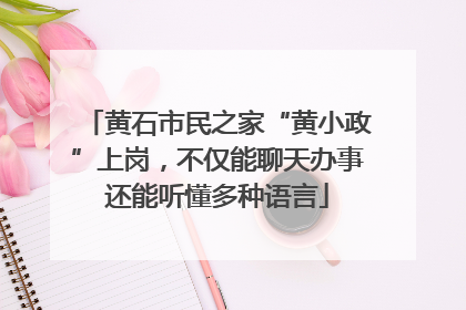 黄石市民之家“黄小政”上岗，不仅能聊天办事还能听懂多种语言