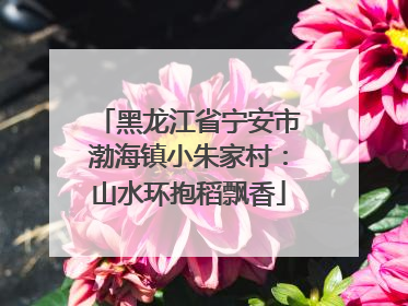 黑龙江省宁安市渤海镇小朱家村：山水环抱稻飘香