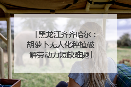 黑龙江齐齐哈尔：胡萝卜无人化种植破解劳动力短缺难题
