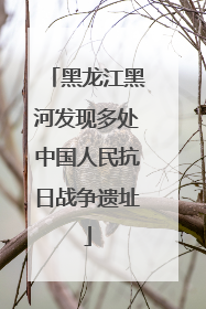 黑龙江黑河发现多处中国人民抗日战争遗址