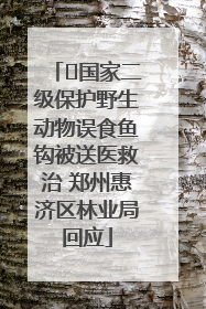 ﻿国家二级保护野生动物误食鱼钩被送医救治 郑州惠济区林业局回应