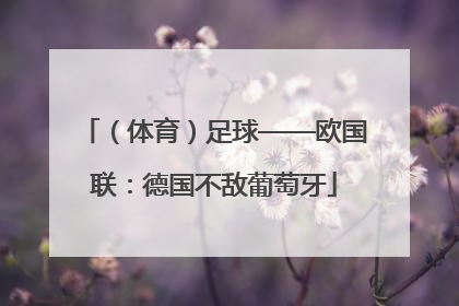 （体育）足球——欧国联：德国不敌葡萄牙