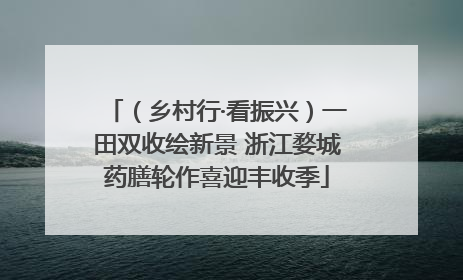 （乡村行·看振兴）一田双收绘新景 浙江婺城药膳轮作喜迎丰收季