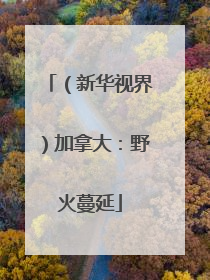 （新华视界）加拿大：野火蔓延