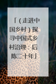 （走进中国乡村）探寻中国式乡村治理：后陈二十年