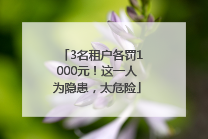 3名租户各罚1000元！这一人为隐患，太危险
