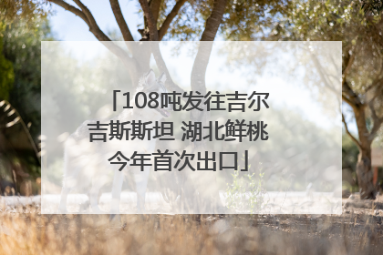 108吨发往吉尔吉斯斯坦 湖北鲜桃今年首次出口