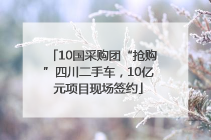 10国采购团“抢购”四川二手车，10亿元项目现场签约