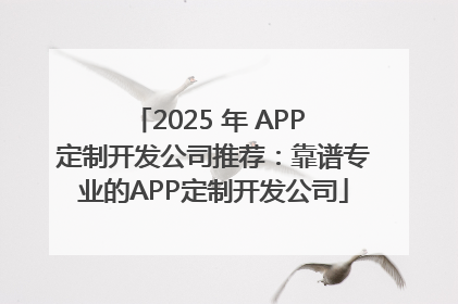 2025 年 APP 定制开发公司推荐：靠谱专业的APP定制开发公司
