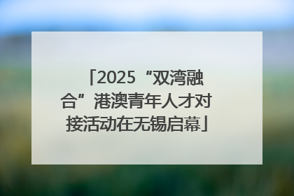 2025“双湾融合”港澳青年人才对接活动在无锡启幕