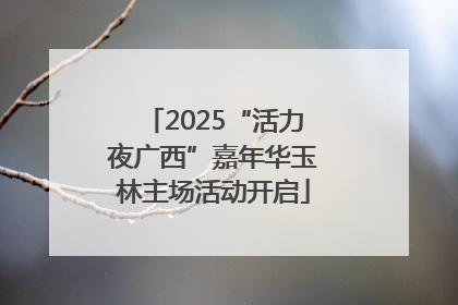 2025“活力夜广西”嘉年华玉林主场活动开启