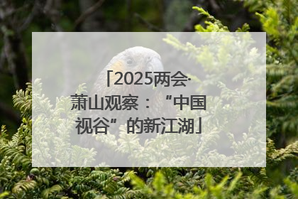 2025两会·萧山观察：“中国视谷”的新江湖