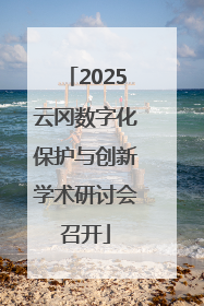 2025云冈数字化保护与创新学术研讨会召开