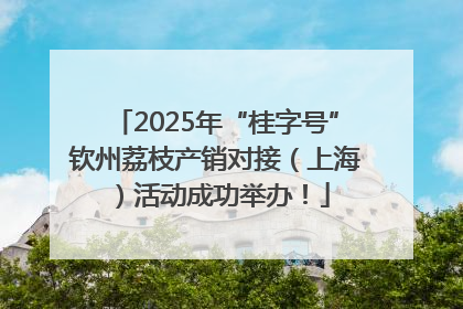 2025年“桂字号”钦州荔枝产销对接（上海）活动成功举办！