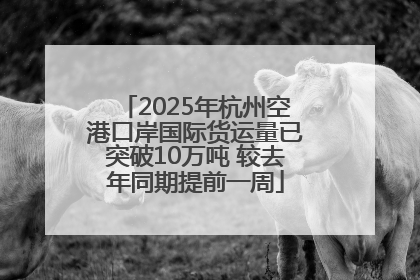 2025年杭州空港口岸国际货运量已突破10万吨 较去年同期提前一周