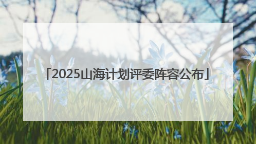 2025山海计划评委阵容公布