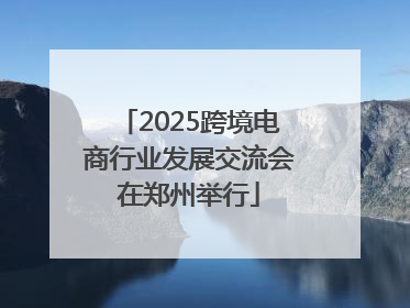 2025跨境电商行业发展交流会在郑州举行