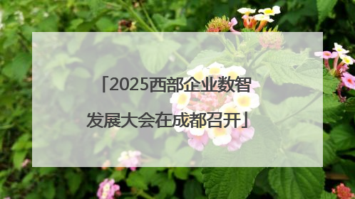 2025西部企业数智发展大会在成都召开