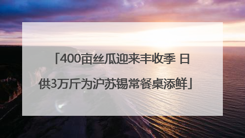 400亩丝瓜迎来丰收季 日供3万斤为沪苏锡常餐桌添鲜