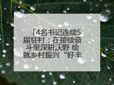 4名书记连续5届驻村：在接续奋斗里深耕沃野 绘就乡村振兴“好丰景”——浦发银行南京分行助力脱贫攻坚、帮促乡村振兴记事（二）