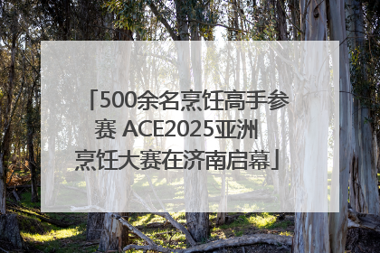 500余名烹饪高手参赛 ACE2025亚洲烹饪大赛在济南启幕