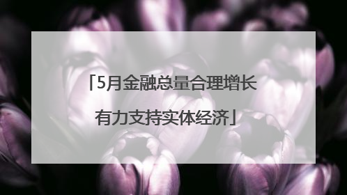 5月金融总量合理增长 有力支持实体经济