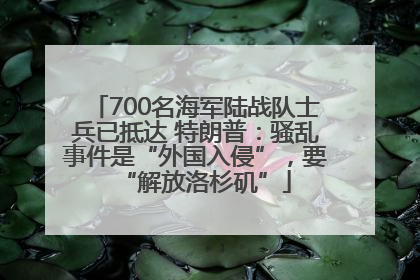 700名海军陆战队士兵已抵达 特朗普：骚乱事件是“外国入侵”，要“解放洛杉矶”