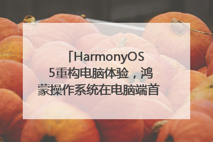 HarmonyOS 5重构电脑体验，鸿蒙操作系统在电脑端首次亮相丨新经济观察